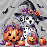 Halloween-WS 5712